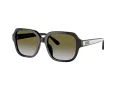 Coach C7989 Gafas de Sol HC 8335U 50027Z