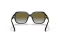 Coach C7989 Gafas de Sol HC 8335U 50027Z