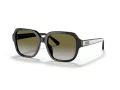 Coach C7989 Gafas de Sol HC 8335U 50027Z