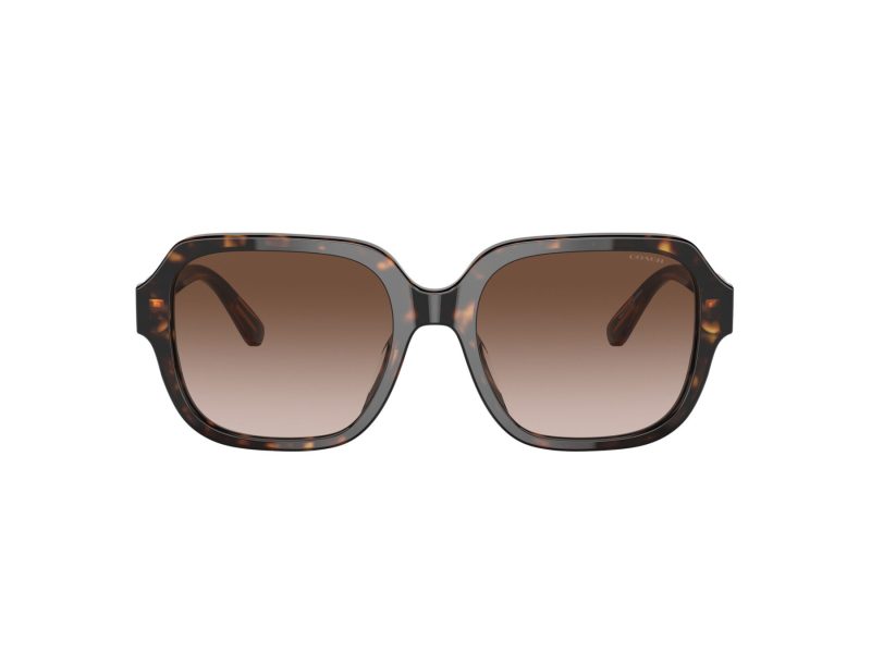 Coach C7989 Gafas de Sol HC 8335U 512013