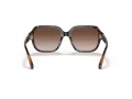 Coach C7989 Gafas de Sol HC 8335U 512013
