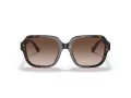 Coach C7989 Gafas de Sol HC 8335U 512013