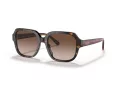 Coach C7989 Gafas de Sol HC 8335U 512013