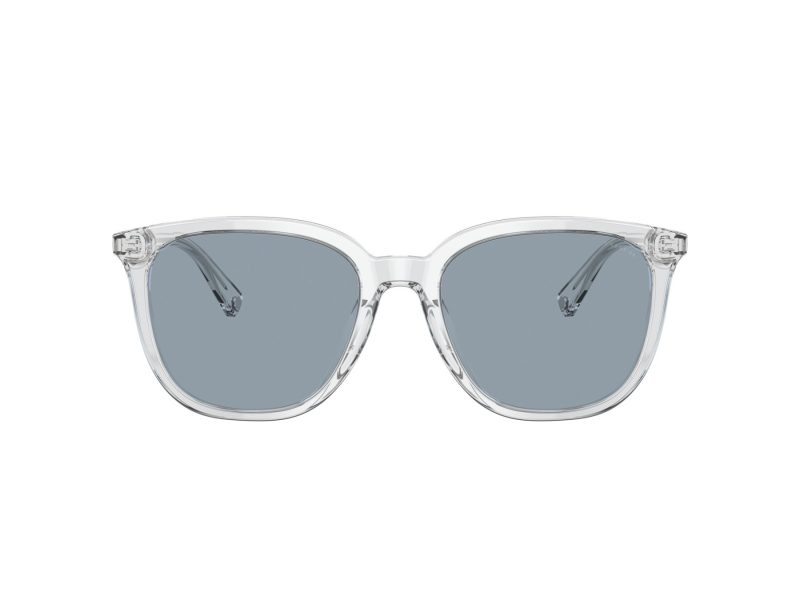 Coach C8006 Gafas de Sol HC 8338U 511172