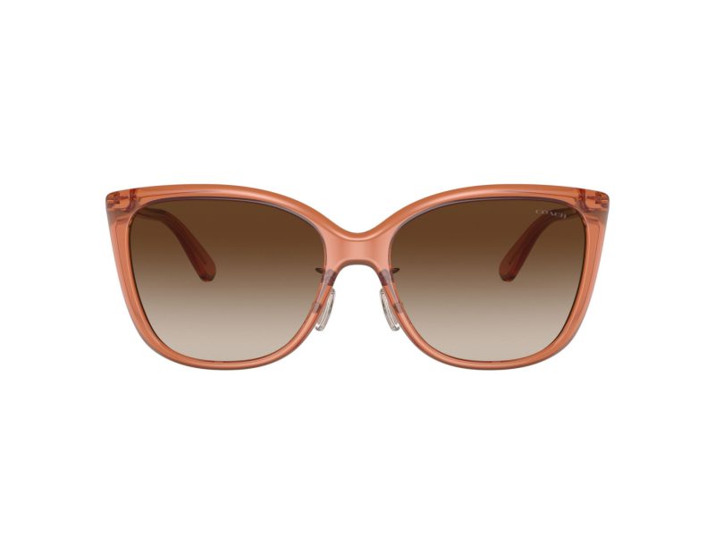 Coach C9206 Gafas de Sol HC 8345 570013