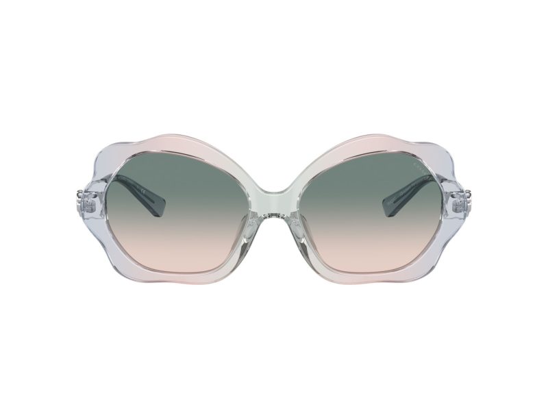 Coach C9200 Gafas de Sol HC 8346BU 56422C