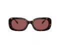 Coach Cd471 Gafas de Sol HC 8358U 512069