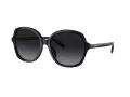 Coach Ch557 Gafas de Sol HC 8360U 5002T3