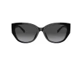 Coach Ch563 Gafas de Sol HC 8362U 50028G
