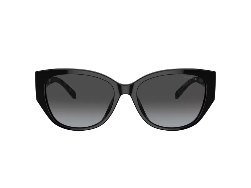 Coach Ch563 Gafas de Sol HC 8362U 50028G