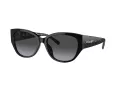 Coach Ch563 Gafas de Sol HC 8362U 50028G