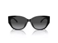 Coach Ch563 Gafas de Sol HC 8362U 50028G