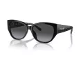 Coach Ch563 Gafas de Sol HC 8362U 50028G