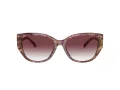 Coach Ch563 Gafas de Sol HC 8362U 57398H