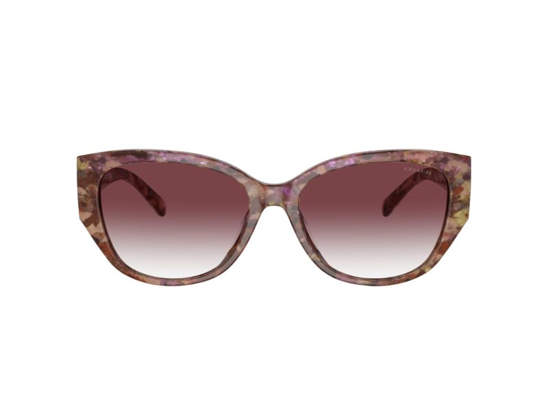 Coach Ch563 Gafas de Sol HC 8362U 57398H