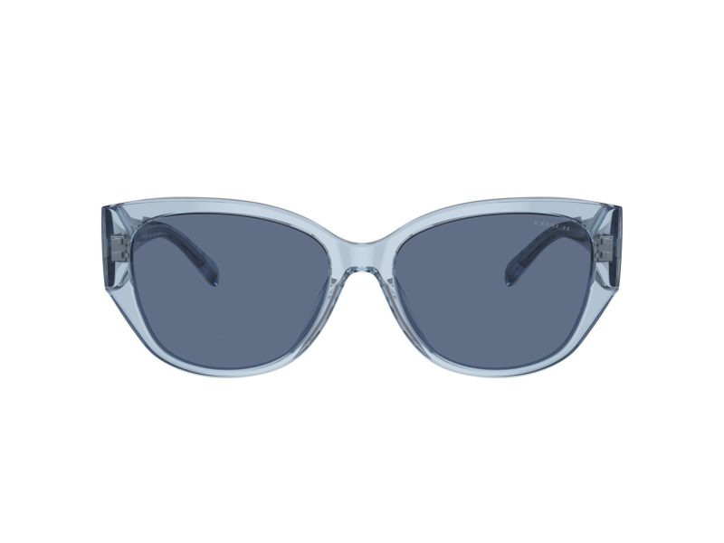Coach Ch563 Gafas de Sol HC 8362U 574080