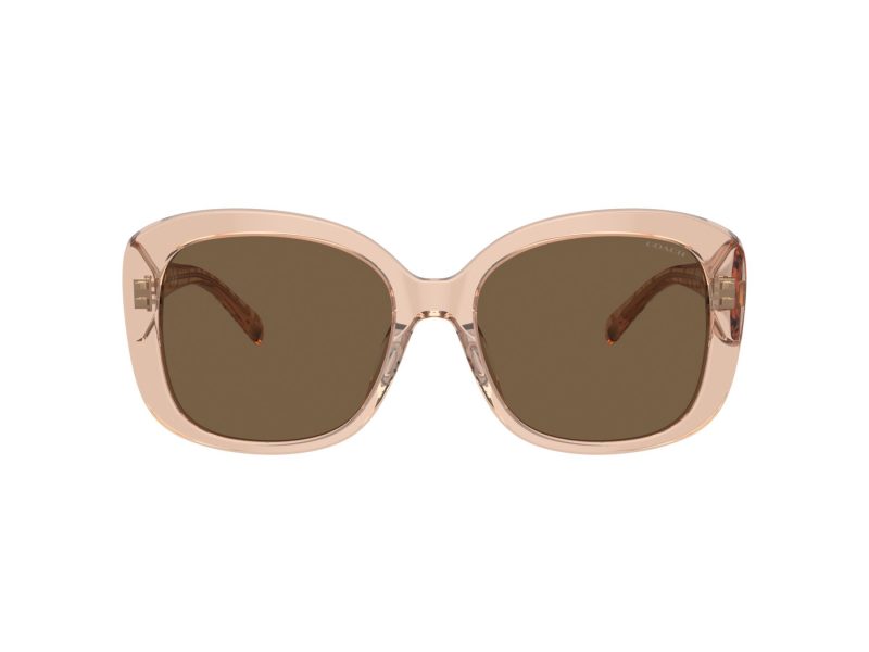 Coach Ch564 Gafas de Sol HC 8363U 556173