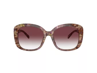 Coach Ch564 Gafas de Sol HC 8363U 57398H