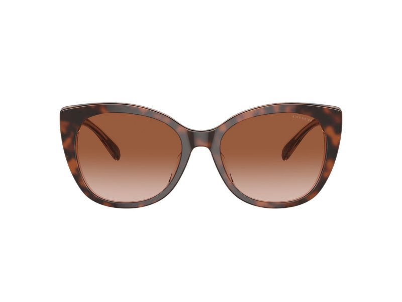 Coach Ch566 Gafas de Sol HC 8365U 574413