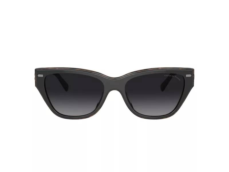 Coach Ch570 Gafas de Sol HC 8370U 5764T3