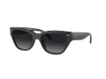 Coach Ch570 Gafas de Sol HC 8370U 5764T3