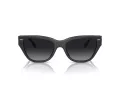 Coach Ch570 Gafas de Sol HC 8370U 5764T3