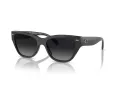 Coach Ch570 Gafas de Sol HC 8370U 5764T3