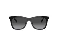 Coach Ch561 Gafas de Sol HC 8374U 50028G