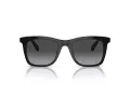 Coach Ch561 Gafas de Sol HC 8374U 50028G