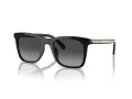 Coach Ch561 Gafas de Sol HC 8374U 50028G