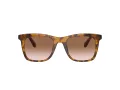 Coach Ch561 Gafas de Sol HC 8374U 512013