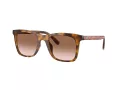 Coach Ch561 Gafas de Sol HC 8374U 512013
