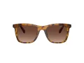 Coach Ch561 Gafas de Sol HC 8374U 5120T5