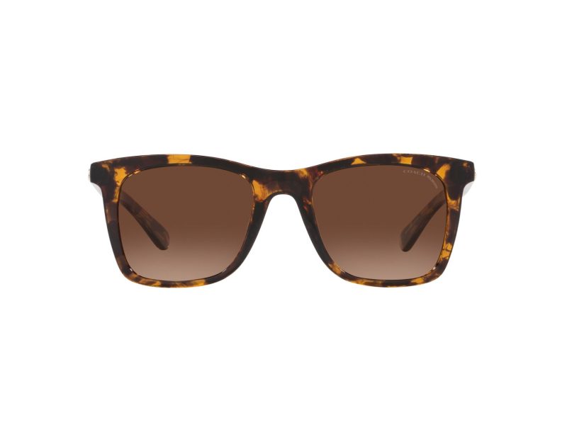 Coach Ch561 Gafas de Sol HC 8374U 5120T5