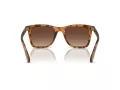 Coach Ch561 Gafas de Sol HC 8374U 5120T5