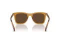 Coach Ch561 Gafas de Sol HC 8374U 57483G