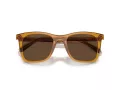 Coach Ch561 Gafas de Sol HC 8374U 57483G