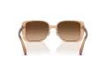 Coach Ch562 Gafas de Sol HC 8375 574974