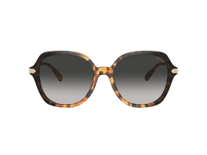 Coach Cl925 Gafas de Sol HC 8377U 577613