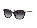 Coach Cl926 Gafas de Sol HC 8378U 50028G