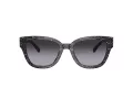 Coach Cl920 Gafas de Sol HC 8379U 55208G