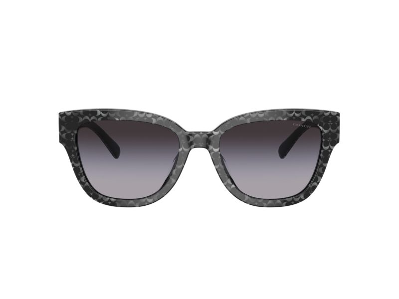 Coach Cl920 Gafas de Sol HC 8379U 55208G