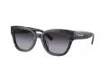 Coach Cl920 Gafas de Sol HC 8379U 55208G