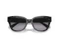 Coach Cl920 Gafas de Sol HC 8379U 55208G