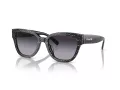Coach Cl920 Gafas de Sol HC 8379U 55208G