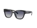 Coach Cl920 Gafas de Sol HC 8379U 57654L