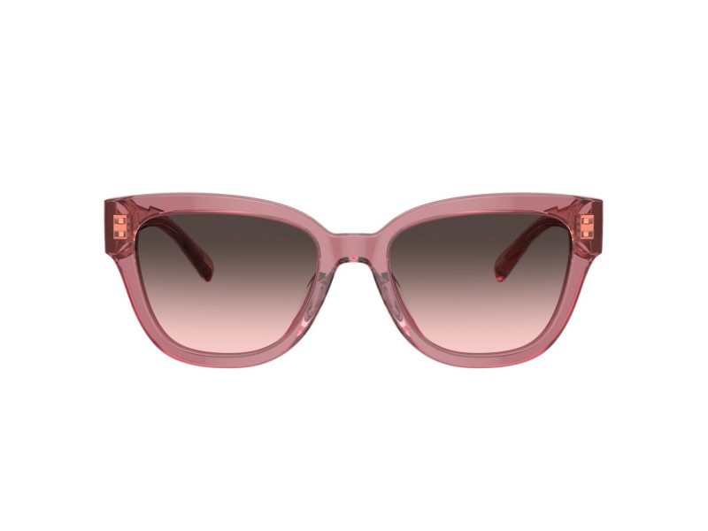 Coach Cl920 Gafas de Sol HC 8379U 580046