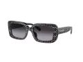 Coach Cl922 Gafas de Sol HC 8380U 55208G