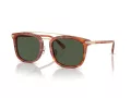 Coach Cl913 Gafas de Sol HC 8382 577482