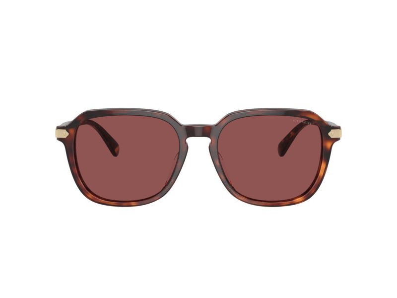 Coach Cl912 Gafas de Sol HC 8383U 579875
